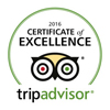 100tripadvisor