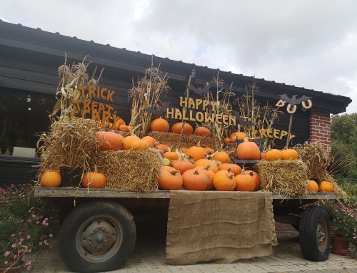 October Half Term 2023 What’s on in the Area…